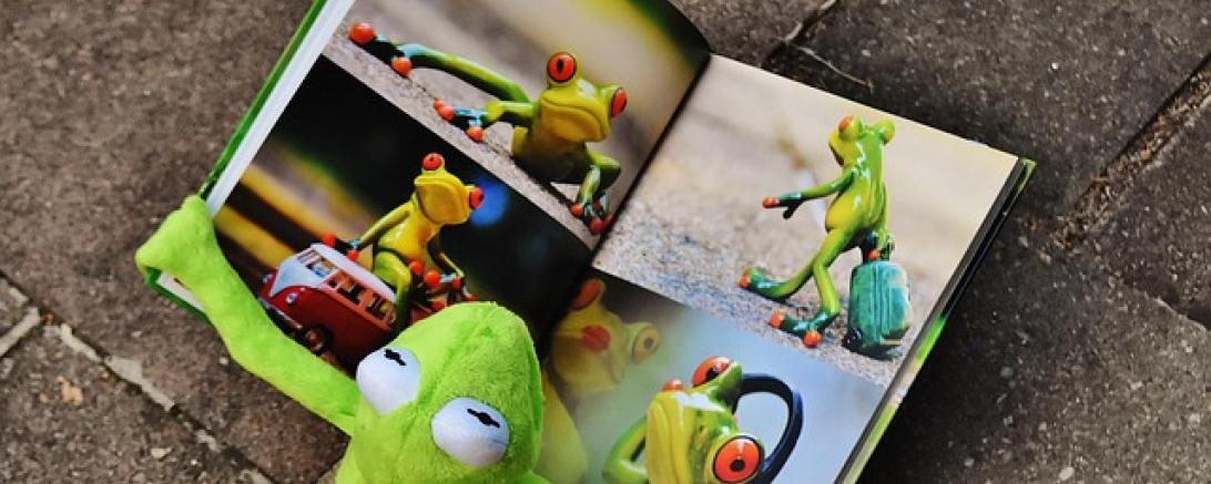 Kermit der Frosch schaut sich ein Bilderbuch an.