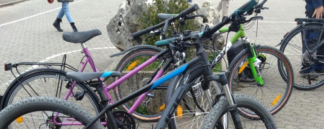 Bereits zum dritten Mal hat der Fahrradbasar in Harburg stattgefunden.