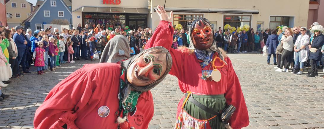 Faschingsumzug Wemding 2025
