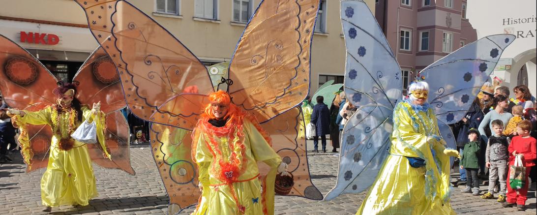 Faschingsumzug Wemding 2025
