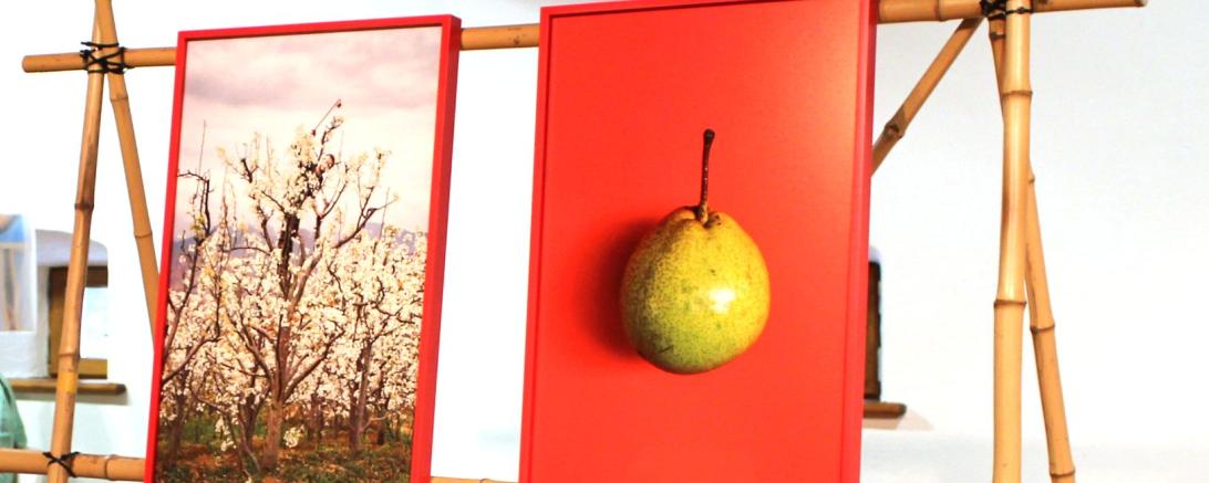 zwei gemälde mit birne und baum mit blüten