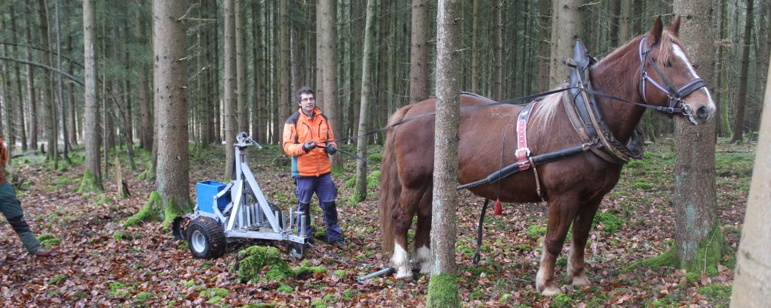 Kaltblüter Hanni und Revierleiter Korbinian Fickert testen das Verfahren.
