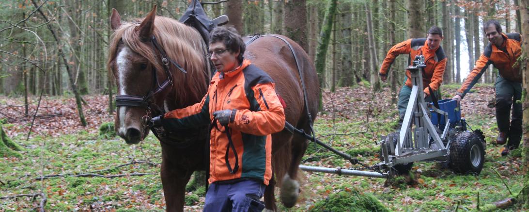 Die Auszubildenden bekommen einen spannenden Einblick in eine nicht mehr alltägliche Arbeitsweise.