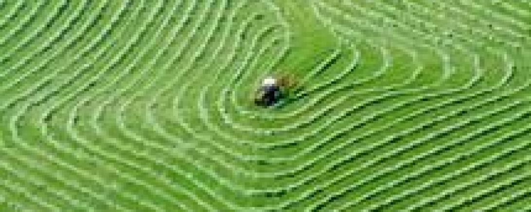 Bauernmalerei Gempfing