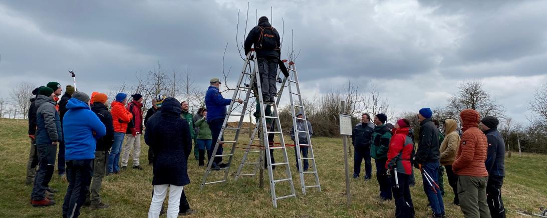 Obstbaumpfleger in Schwaben
