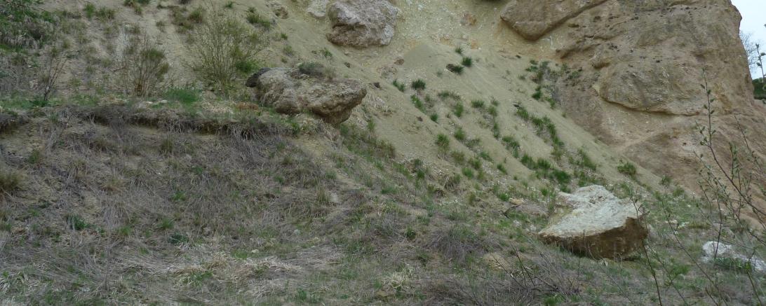 Die Schottergrube bei Unterwilflingen.