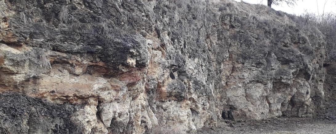 Das Geotop Burschel/Hainsfarth.