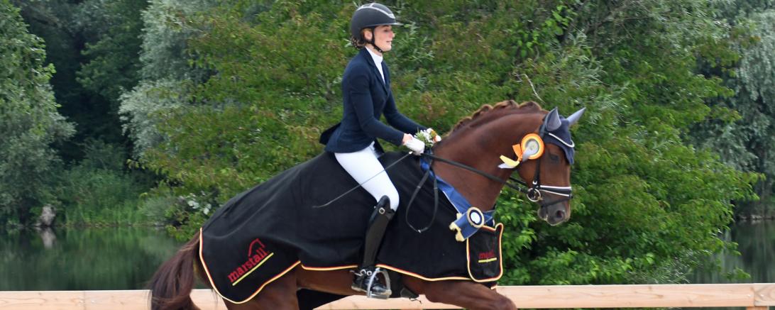 Der Hengst Fandango Fabuloso wurde offiziell als Zuchthengst eingetragen.