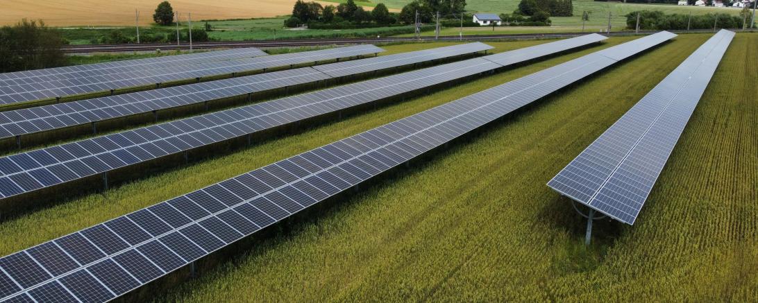 In Oberndorf soll eine hochmoderne Agri-PV-Anlage entstehen, ähnlich wie diese Anlage auf dem Bild. 