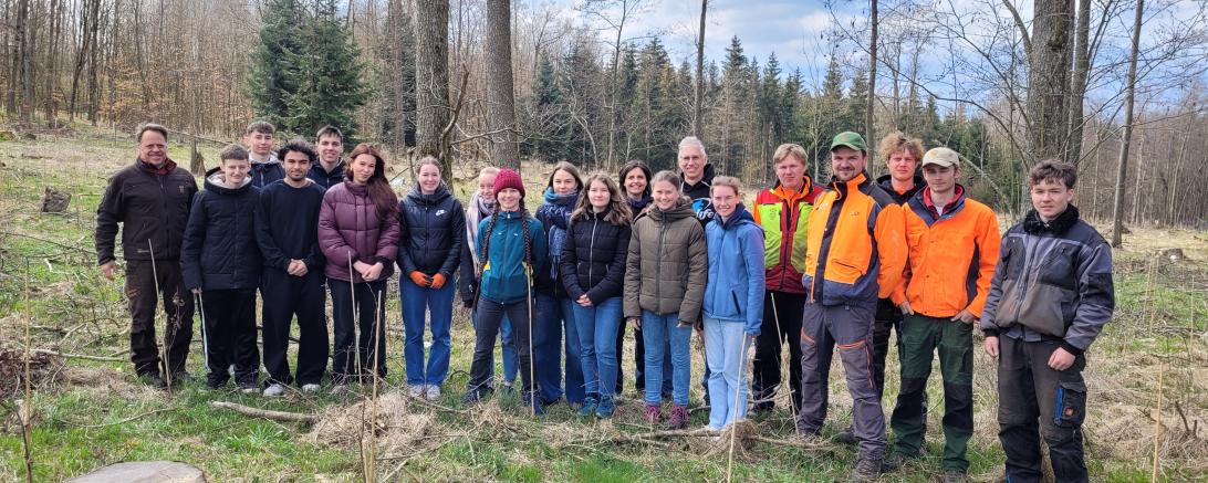 Baumpflanzaktion des THG Nördlingen und Forstbetriebs des Fürste