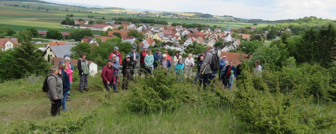 Weidelandschaften rund um Holheim