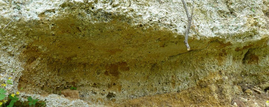 Aufschluss eines Mündungsdeltas in den Geotopen Kühstein Mönchsdeggingen.