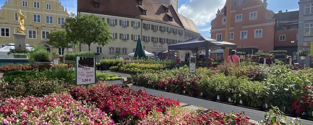 Fuchsien- und Kräutermarkt in Wemding