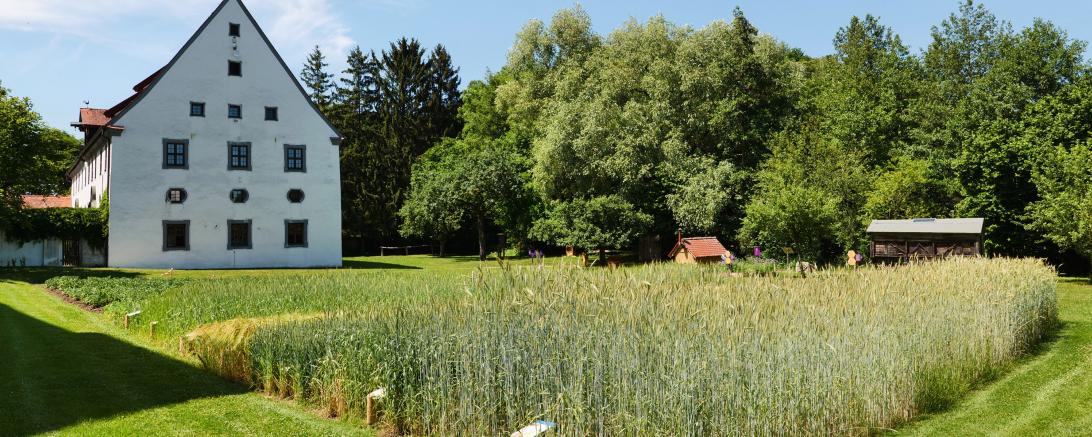 Museum KulturLand Ries Garten