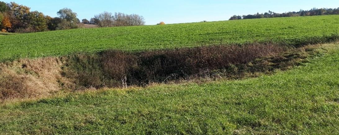 Dolinenlehrpfad Tagmersheim/Rögling