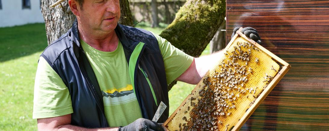 Museumsimker Anton Göck