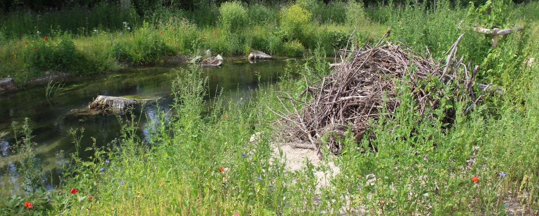 Die Fischaufstiegshilfe wurde dem natürlichen Ufer des Lechs nachempfunden, um so neuen Lebensraum zu schaffen.