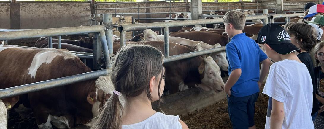 Der Besuch im Stall wurde zu einer spannenden Angelegenheit.