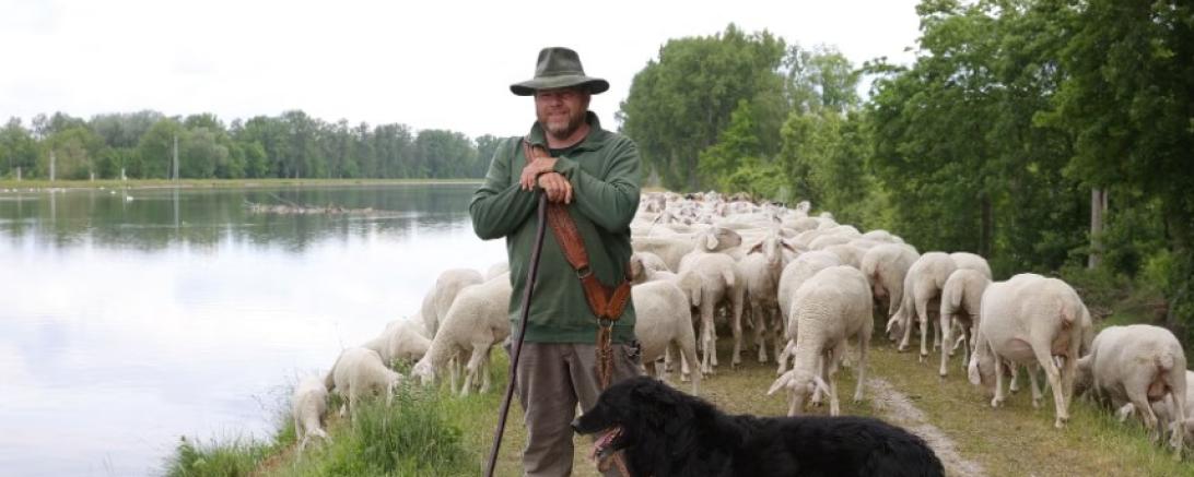 Schäfer-Oberpeiching