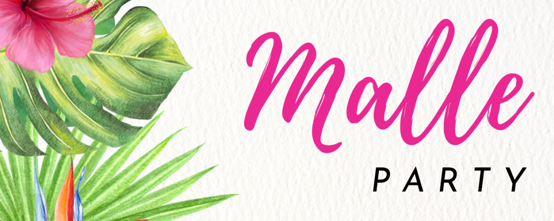 Malle Party Ebermergen 