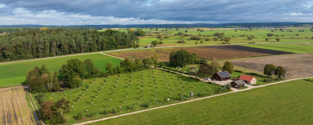 Das Bild zeigt eine Luftaufnahme des Botanischen Obstgartens.