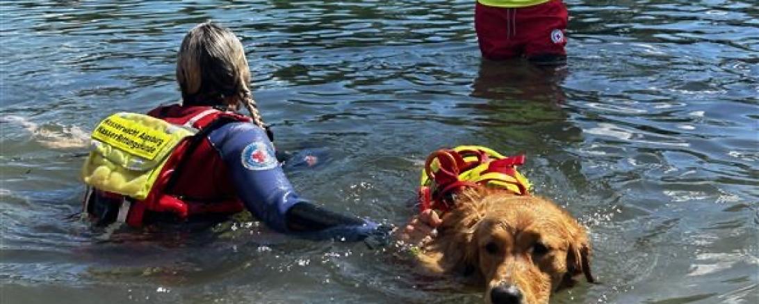 Jedermann Schwimmen 2025 