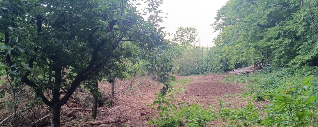 Grundstück Reimlingen Kreativwerkstatt