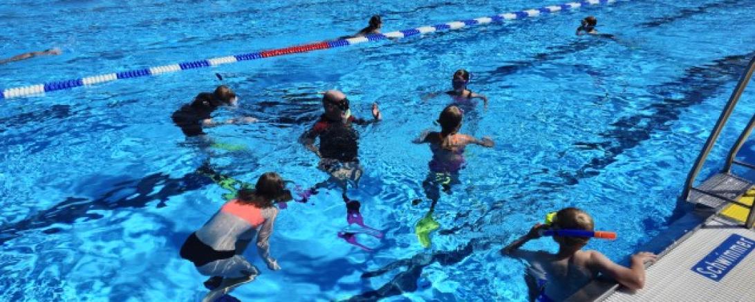 Schnorcheltauchen Ferienprogramm