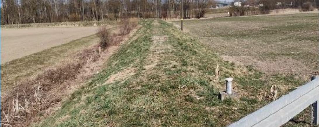 Das Foto zeigt den Teilschutzdeich und die bis zum Deichfuß angrenzenden landwirtschaftlichen Flächen.