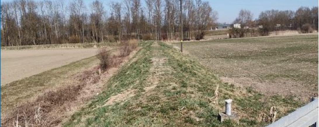 Das Foto zeigt den Teilschutzdeich und die bis zum Deichfuß angrenzenden landwirtschaftlichen Flächen.
