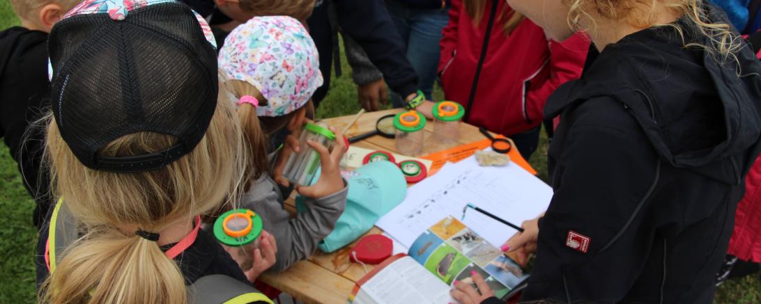 Outdoor-Spaß im B+ Zentrum in Blossenau. 