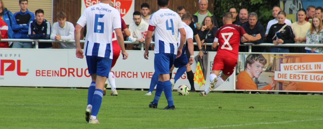 SG Alerheim Jahn Regensburg