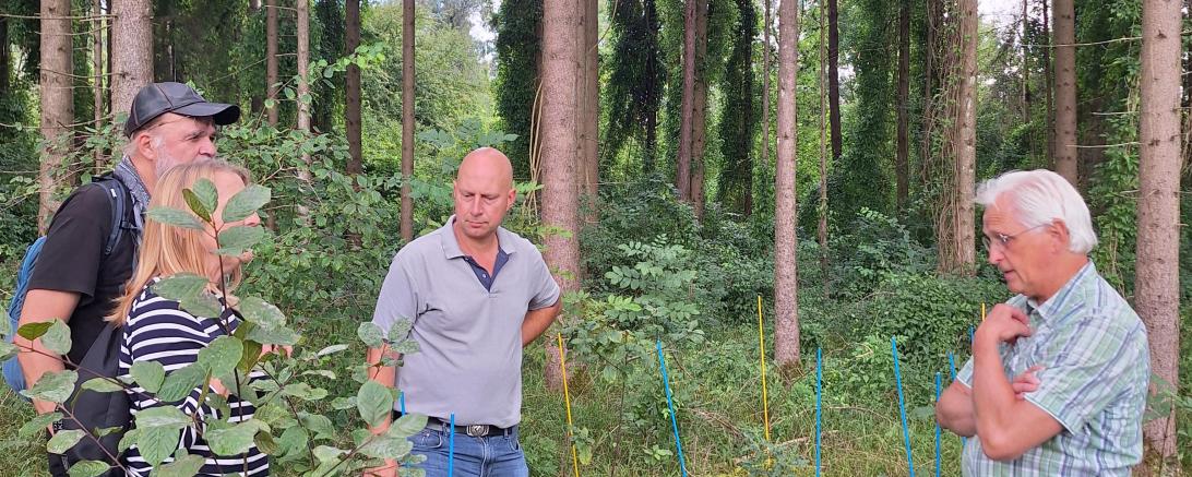 Stefan Kolonko (Förster i.R.) führt eine Delegation des Ortsverbands Bündnis 90/Die Grünen Rain und Umgebung durch unterschiedlich bewirtschaftete Bereiche des Lechauwaldes.