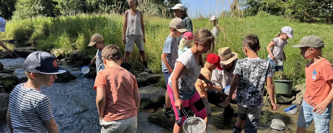 Beim Sommerferienprogrammpunkt des Rieser Naturschutzvereins durften die Kinder mit Keschern kleine Tierchen in der Eger fangen.