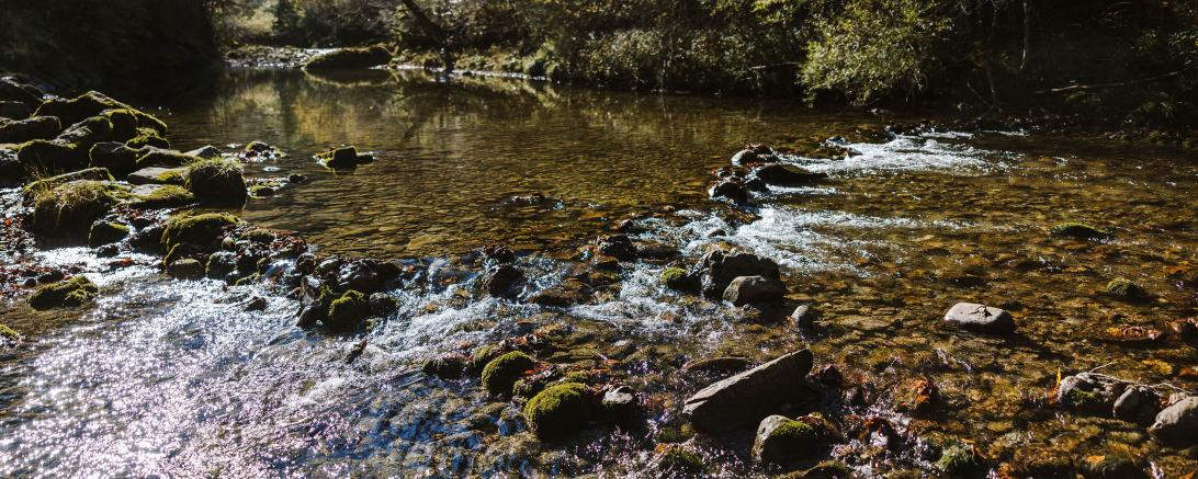 Beim Umweltpreis rückt der Bezirk Schwaben mit einer neuen Kategorie erstmals die schwäbischen Flüsse, Seen, Bäche und deren Artenvielfalt in den Mittelpunkt. 