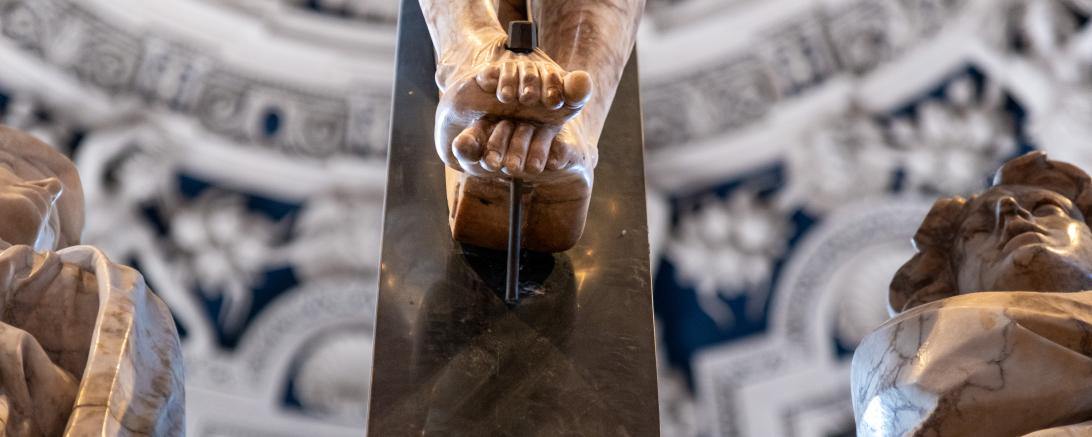 Foto des Monats August 2025 der Fotofreunde Harburg: „Gepeinigt“ von Hannes Dambacher aus Nördlingen