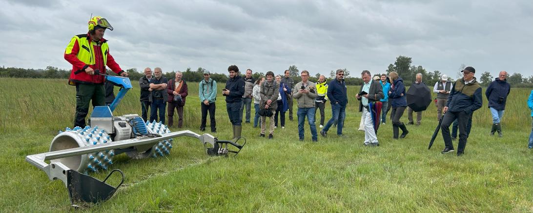Mit einer Auftaktveranstaltung in der Mertinger Höll präsentierte der Land-schaftspflegeverband Donau-Ries sein neues Projekt „Moorvielfalt Mertinger und Obern-dorfer Ried“.