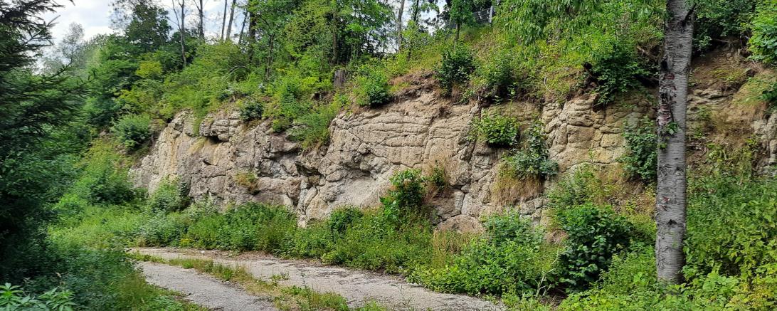 Das Bild zeigt den Suevitsteinbruch Otting.