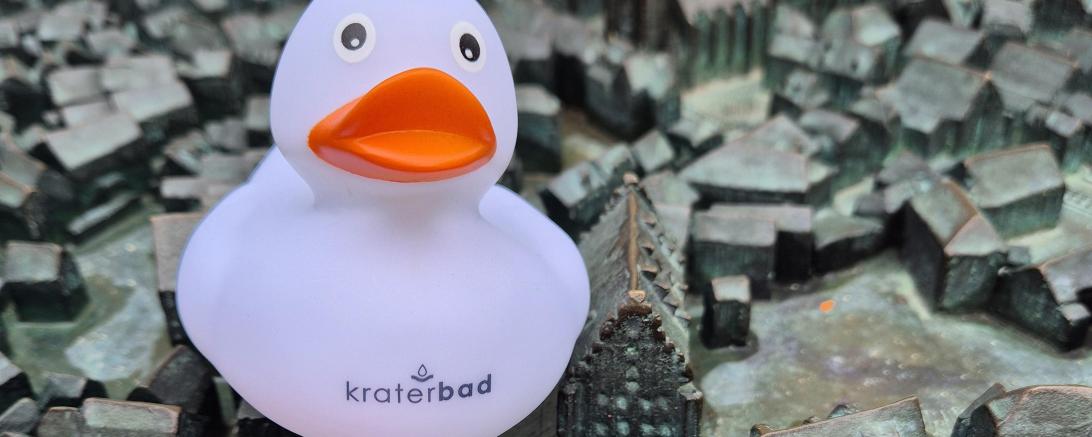 Entenrennen Stadt Nördlingen