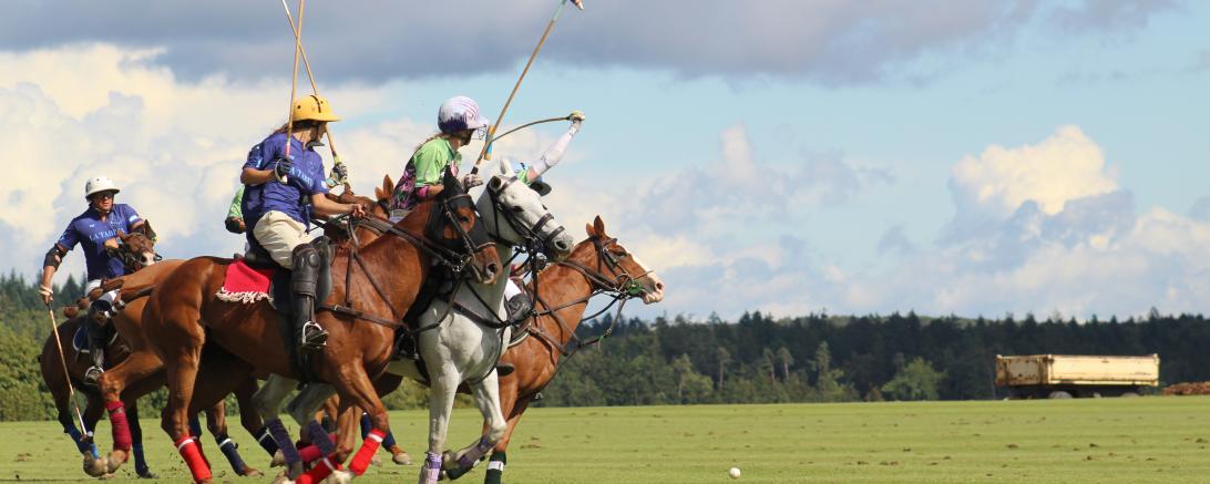Polo Tagmersheim