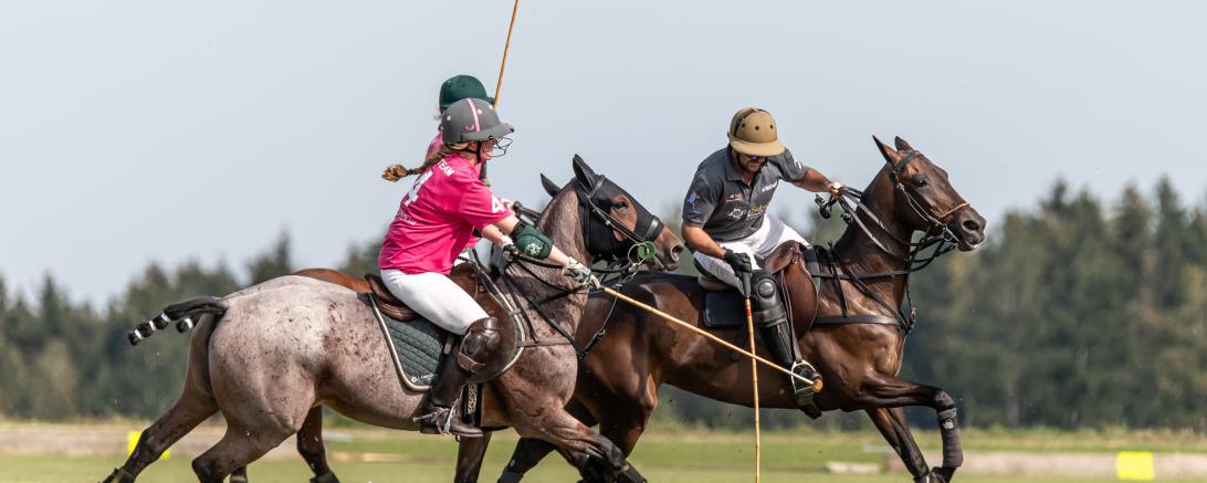 In Tagmersheim wird mittlerweile seit 2012 aktiv Polo gespielt.