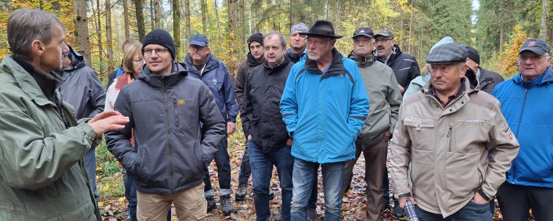 Waldbegang Nördlingen