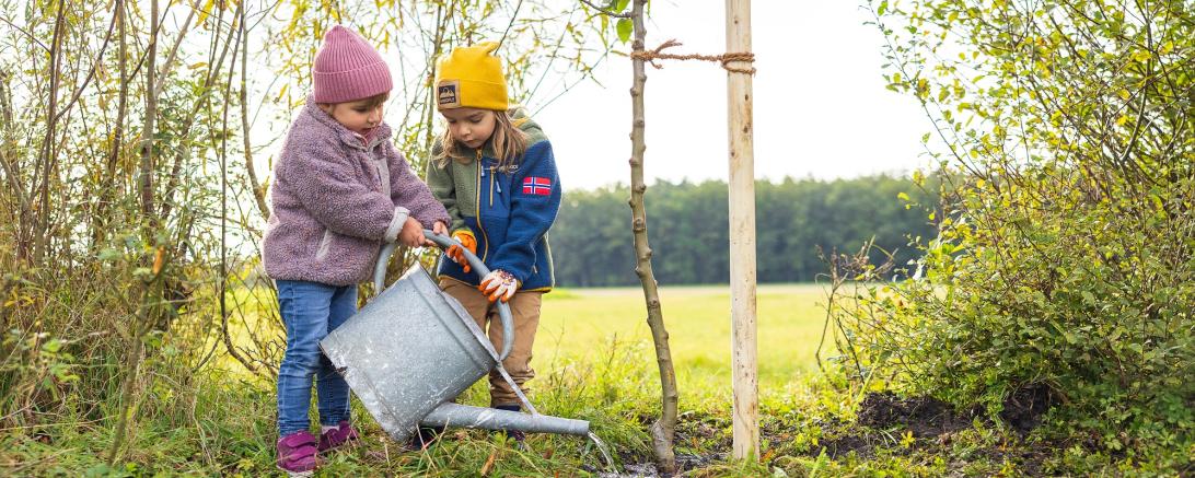 Mit einer neuen Initiative will der Landkreis Donau-Ries das Thema Nachhaltigkeit stärken.