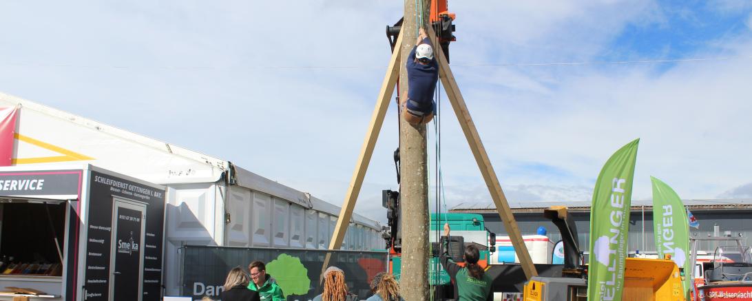 Donauries-Ausstellung 2025