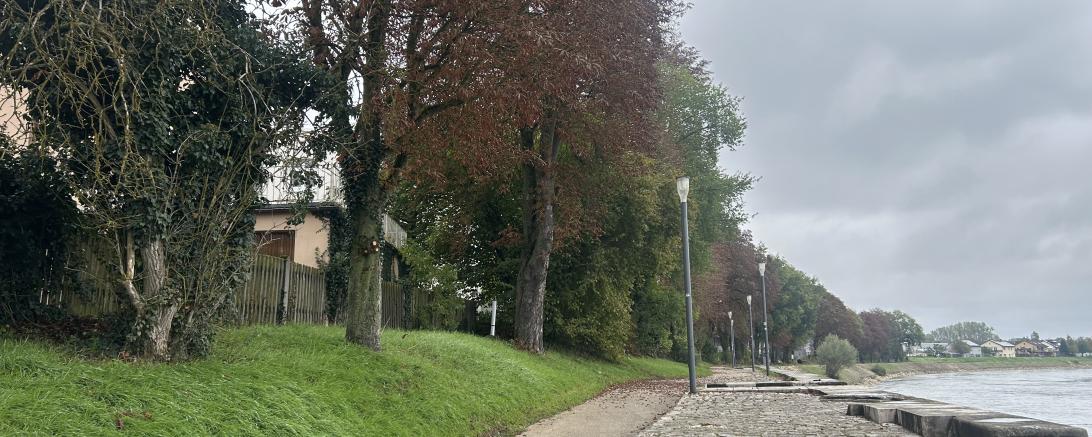 Der schmale Weg am Alten Donauhafen ist derzeit lediglich als Fußweg ausgeschildert und endet auf Höhe der Agentur für Arbeit. 