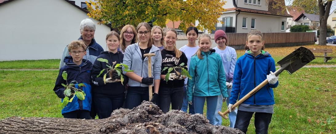 Wiesensalbei Lena Pollak