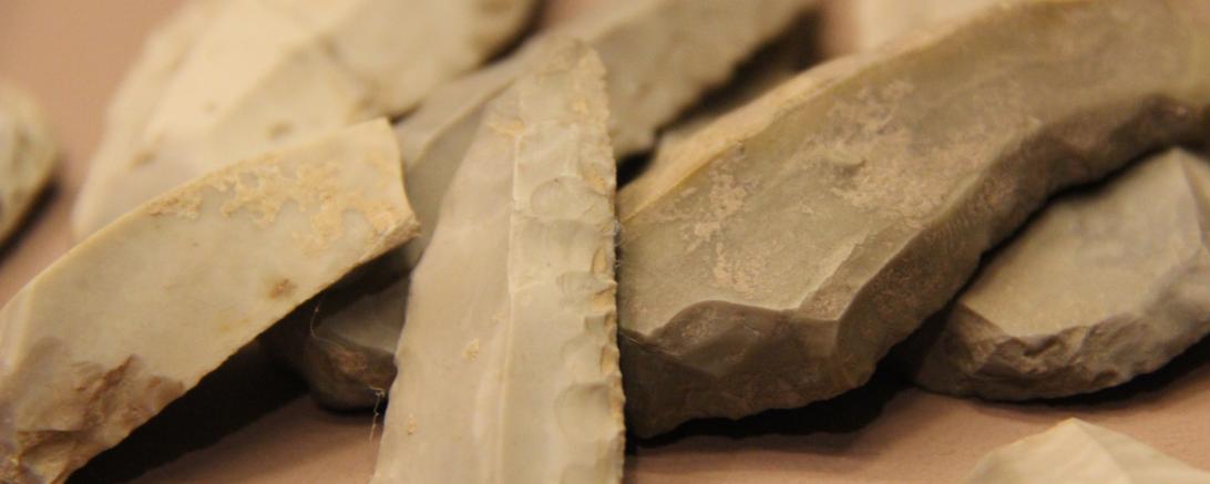 Teil der archäologischen Sammlung. 