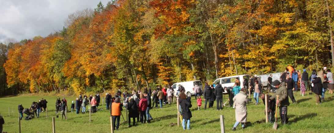 Familienwald in Wemding. 