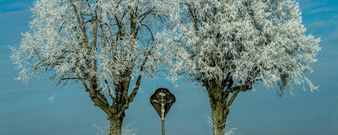 Foto des Monats Dezember 2025 der Fotofreunde Harburg „Ruhepol“ von Rudolf Schwarz aus Bissingen.