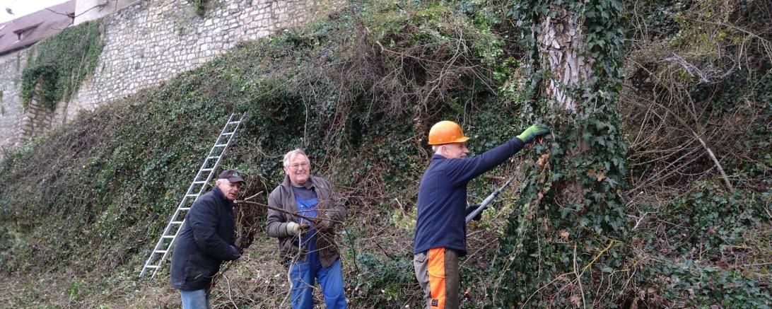 Burgmauern freigelegt Harburg